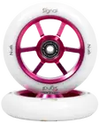 Magenta / White