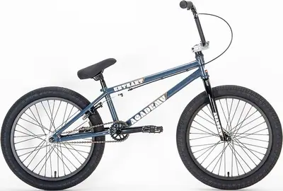Academy Entrant 20'' BMX Freestyle Bike