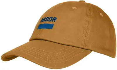 Vans Antihero Snapback Hat | SkatePro