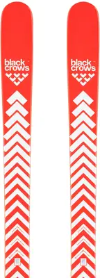 Black Crows Camox Birdie JR Junior Ski's