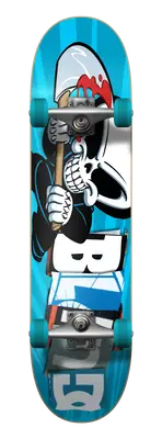 Blind Classic Complete Skateboard