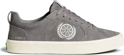 Cariuma Catiba Pro x The Berrics Skate Shoes