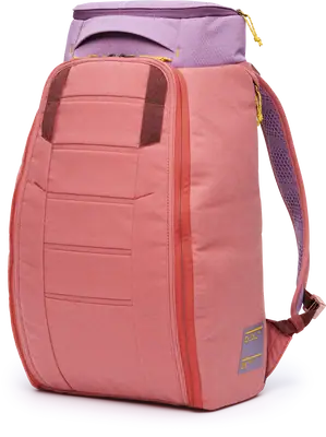 Db Hugger 25L Rucksack