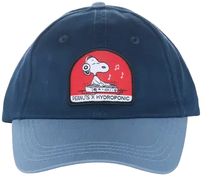 Hydroponic PE DJ Cap