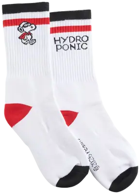 Hydroponic X Peanuts Crew Calcetines