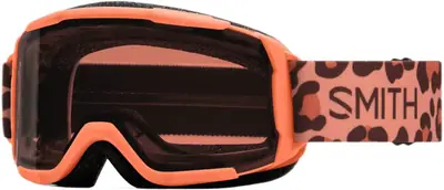 Smith Daredevil Junior Ski Goggles