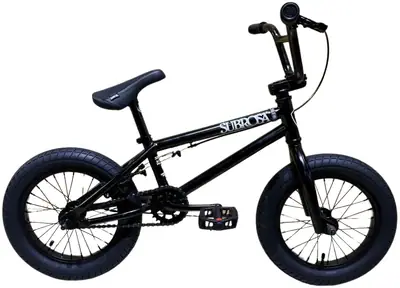 Altus 14" BMX Bike For Kids