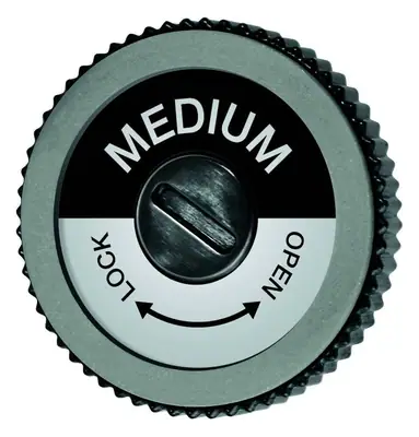 Swix EVO Repuesto Disc