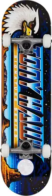 Tony Hawk 180 Series Skateboard Complet