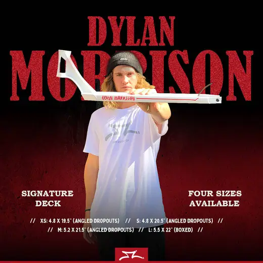 AO Dylan Morrison Pro Scooter Deck | SkatePro