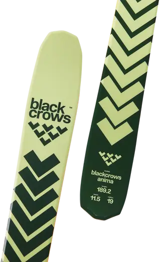 Black Crows Anima Freeride Skis | SkatePro