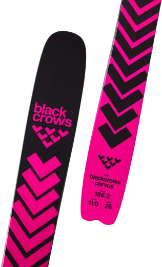 スキー BLACK CROWS viatar 165cm スキー BLACK CROWS viatar 165cm blackcrows viator ブラッククロウズ