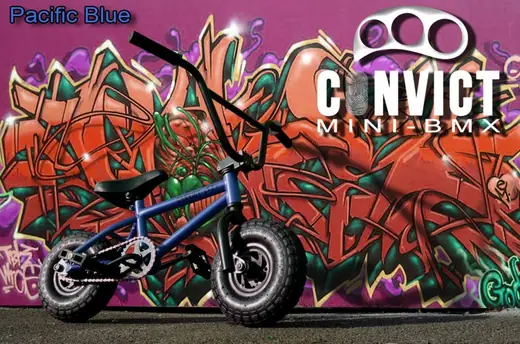 【珍品】CONVICT ミニBMX 本体 インテリア・ディスプレイ等に Convict Pacific Minibmx | SkatePro