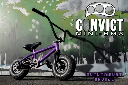 Convict 2025 mini bmx