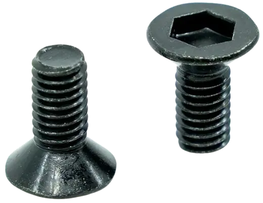 Core Replacement Brake Bolts