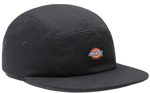 Dickies snapback hats online