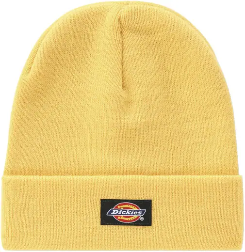 Dickies Gibsland Cepures