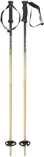 Head Kore Team Junior Ski Poles