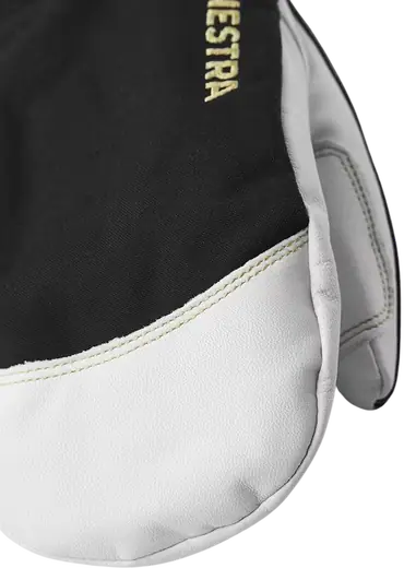 Hestra Army Leather Gore-Tex Mittens | SkatePro