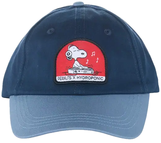 Hydroponic PE DJ Cap