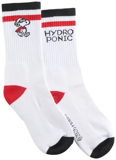 Hydroponic X Peanuts Crew Socken