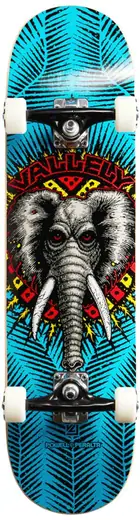 Powell Peralta Birch Complete Skateboard
