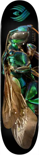 Powell Peralta Biss Flight Skateboard Deck | SkatePro