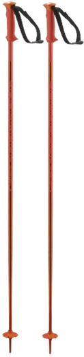 Salomon Polar Ski Poles