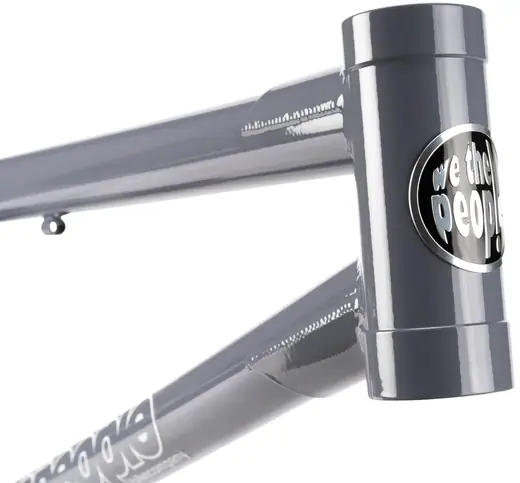 Wethepeople 4 Seasons BMX Frame | SkatePro
