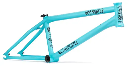 wethepeople-doomsayer-2020-
