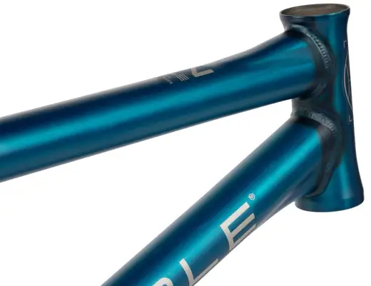Wethepeople Network Dan Kruk Signature BMX Frame | SkatePro