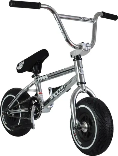 Wildcat Galaxy 2A Mini BMX SkatePro