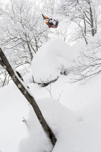 yes 20 20 hybrid camber snowboard Yes. 20/20 2020 paired with Triax fiberglass construction and sintered base for speed Yes. Hybrid Hybrid Camber Snowboard