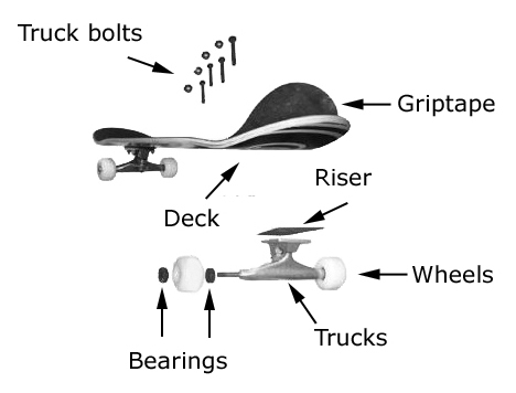 Welches Skateboard kaufen? | SkatePro
