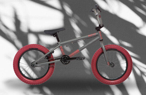 bmx bikes for ten year olds